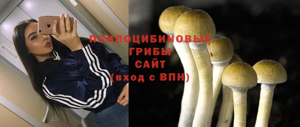 МДПВ Вязники