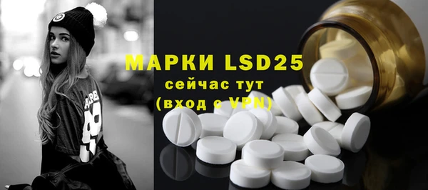амф Вяземский