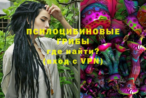 амф Вяземский