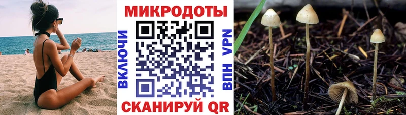 блэк спрут ссылка  Коломна  Псилоцибиновые грибы мицелий  наркошоп 